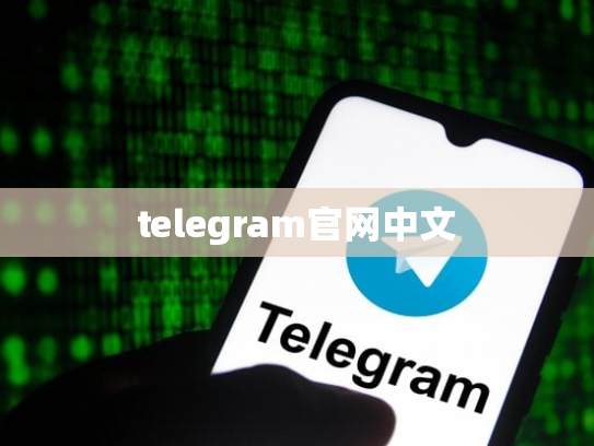 telegram官网中文