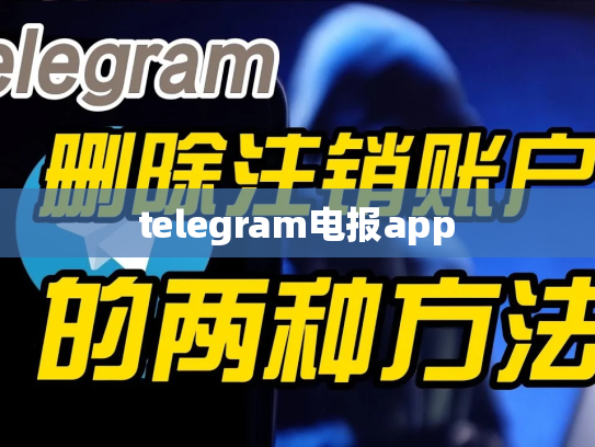 telegram电报app