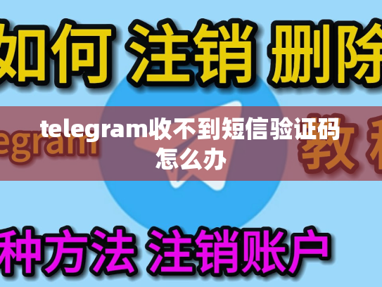 telegram收不到短信验证码怎么办